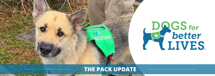 0426_Pack Email Header