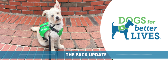 0726 Pack header