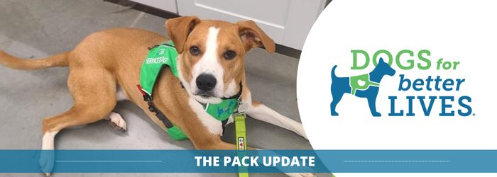 1225 Pack Email Header