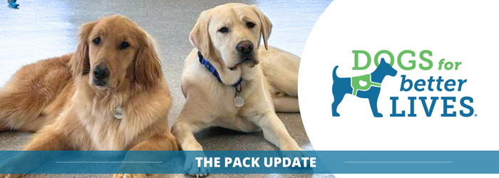 April25 pack banner