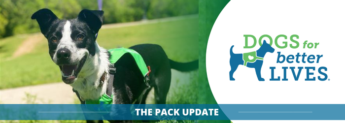 August 2024 Pack Header