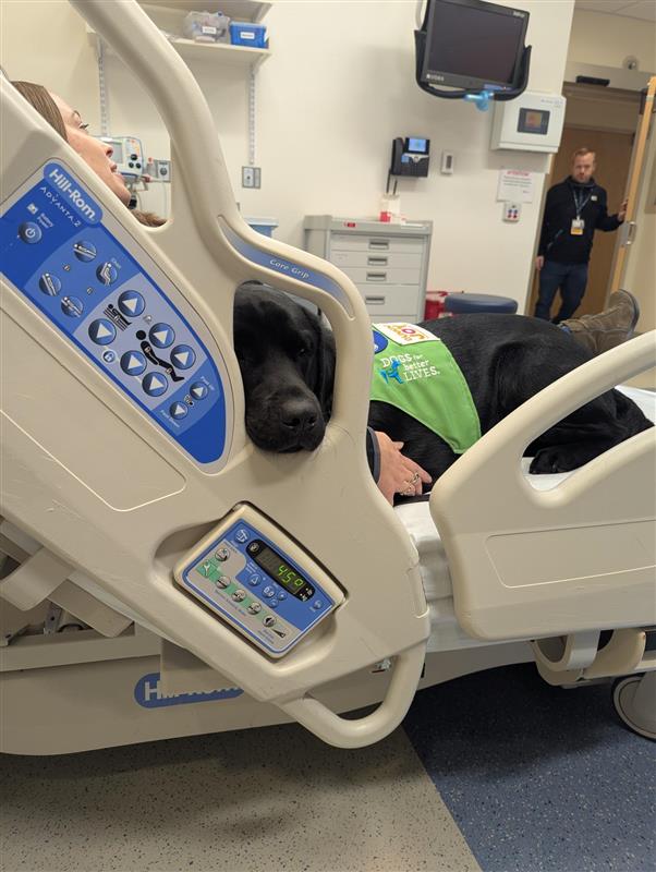 Boston Childrens placement