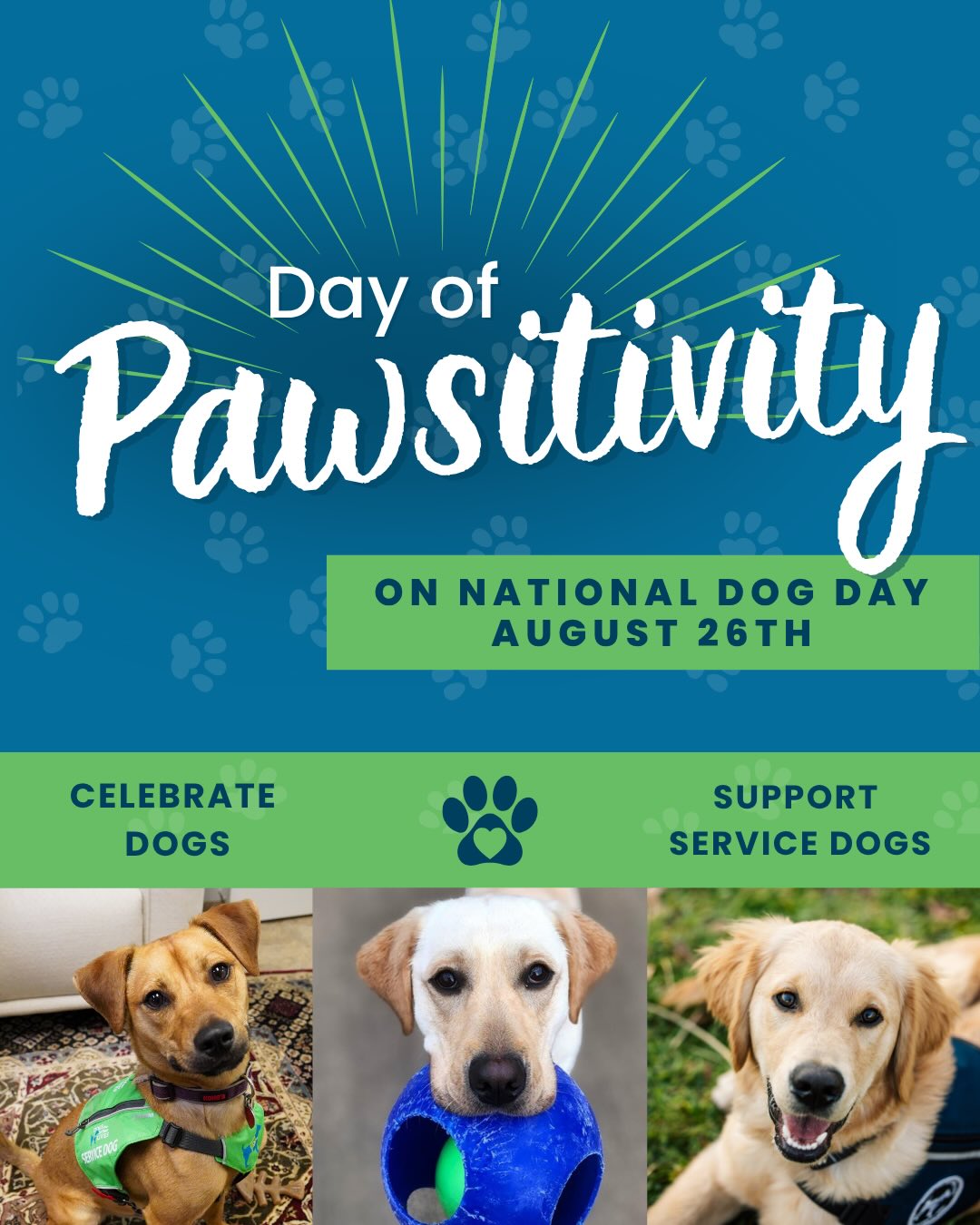 Day of Pawsitivity (Instagram Post (45))