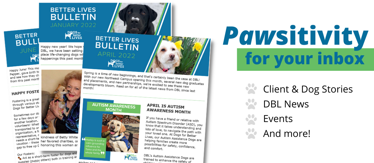 Pawsitivity for your inbox. Client & dog stories, DBL News, Events, and More!