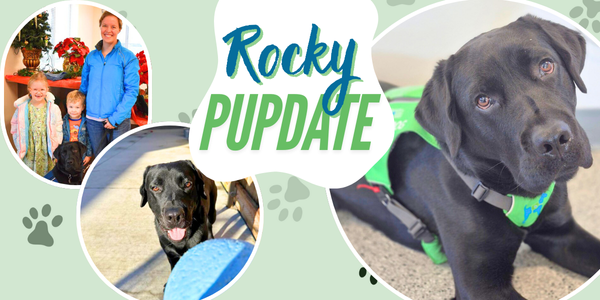 FEB25 Rocky Pack