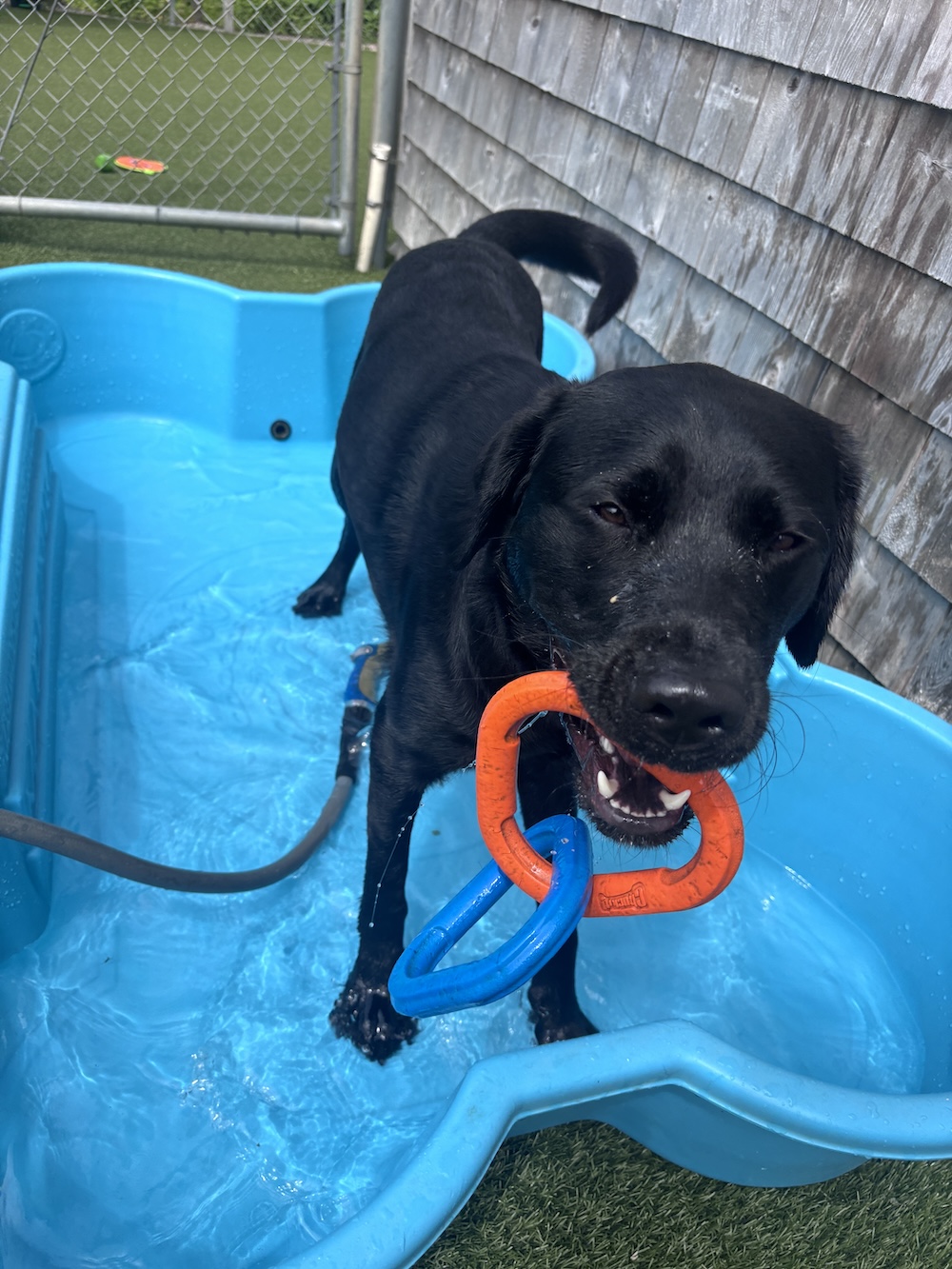 FINN pooltime