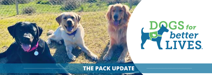 Feb25 Pack Update