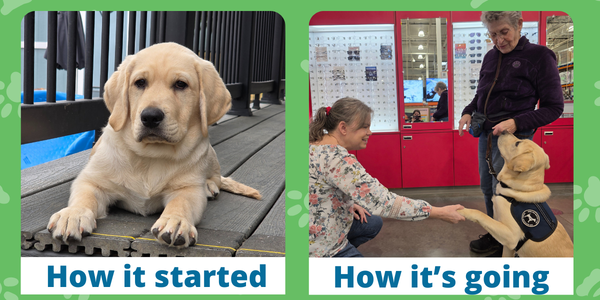 Feb26 Halligan Update