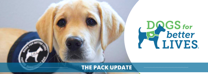 February 2026 Pack Email Header