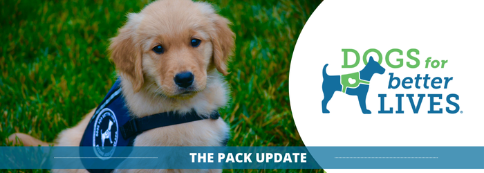 Jan26 Pack Email Header