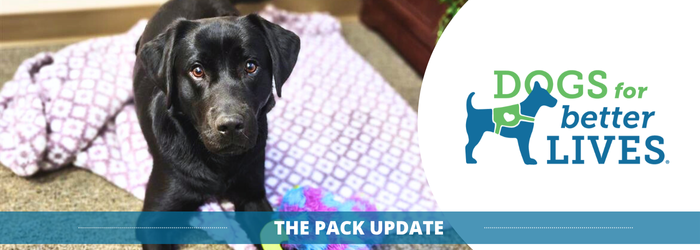 July 2025 Pack Email Header