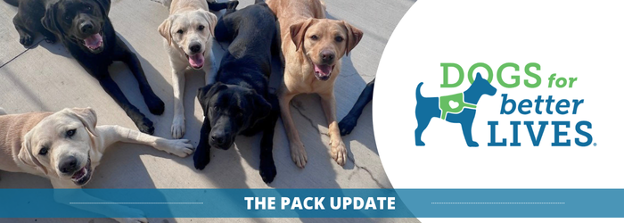 August 2026 pack member newsletter