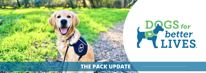 June 25 Pack Update