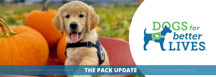 November 2024 pack