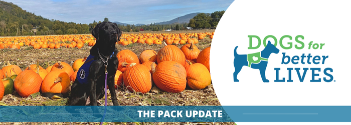 October 2024 Pack Member Update