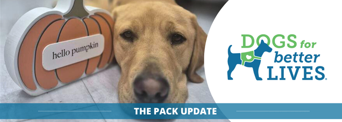 October 2025 Pack