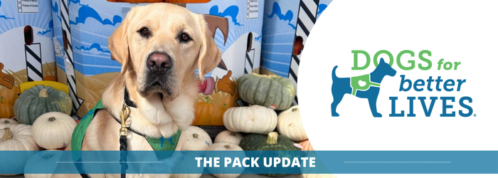 October pack newsletter