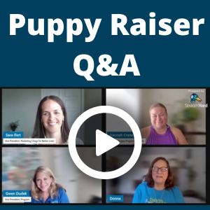 Puppy Raiser Q&A2