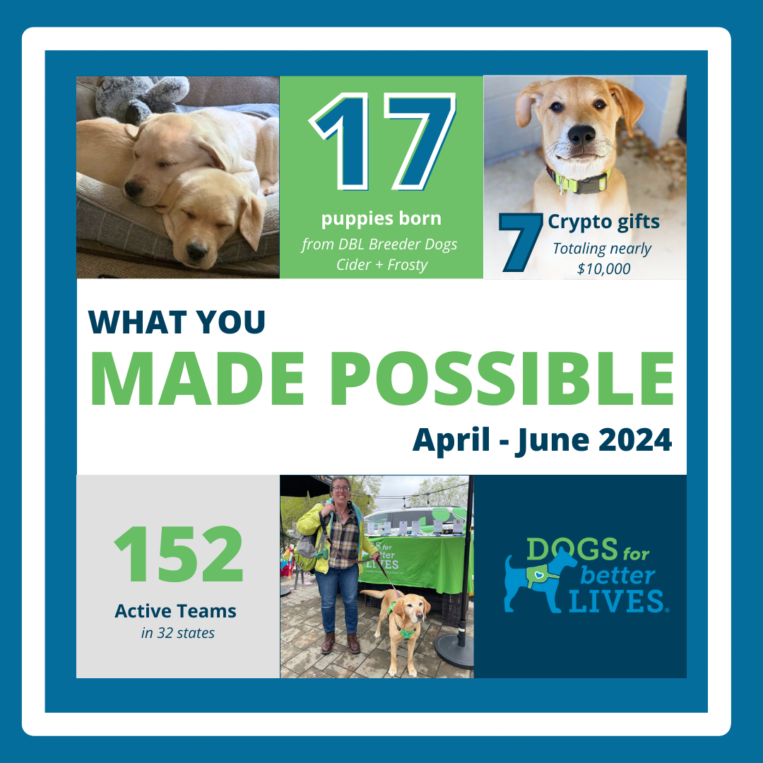 Q424 Impact Report 1