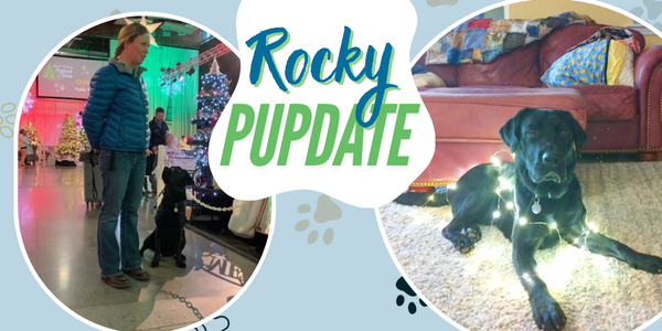 ROCKY Jan25