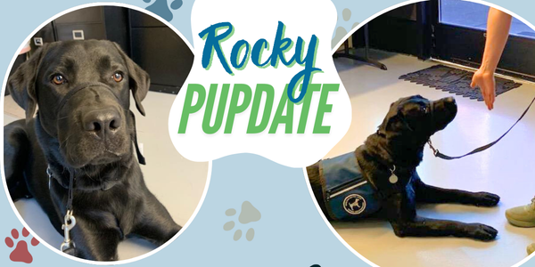 Rocky Pack NOV24
