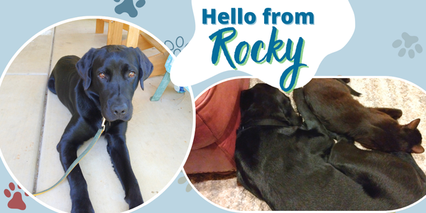 Rocky Pack Sep2024