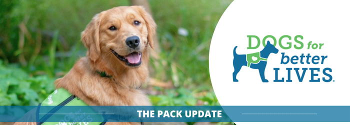 September 26 Pack update