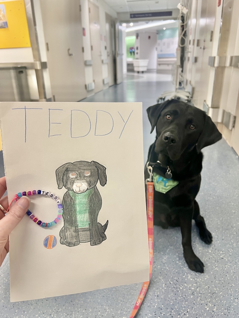 Teddy august 2026