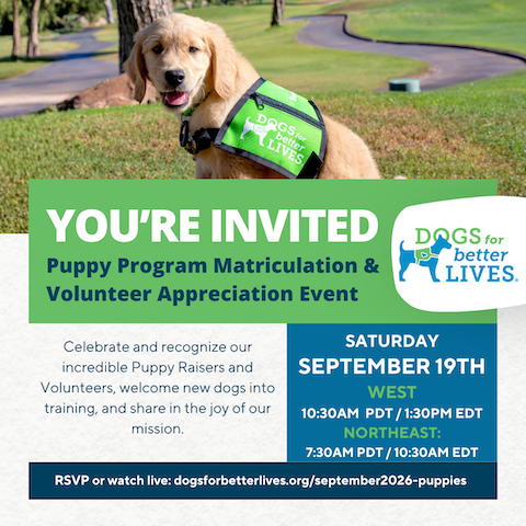 Virtual puppy invite 4