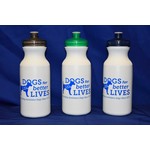DBL Sport Bottle