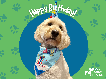 Basic eCard - Birthday