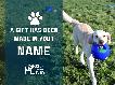 Basic eCard - Gift in Your Name
